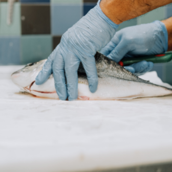 Diliscatura e Sfilettatura Pesce Terracina