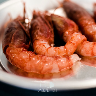 Pesce Crudo Terracina
