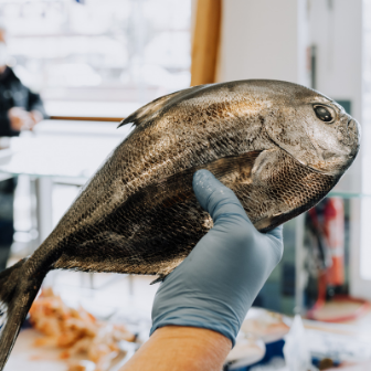 Vendita Pesce Fresco Terracina